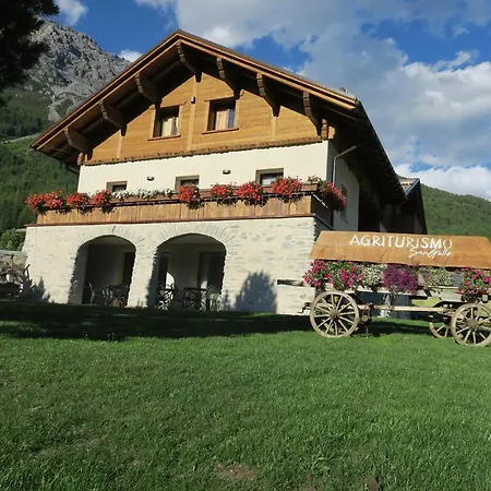 Bauernhof San Gallo *